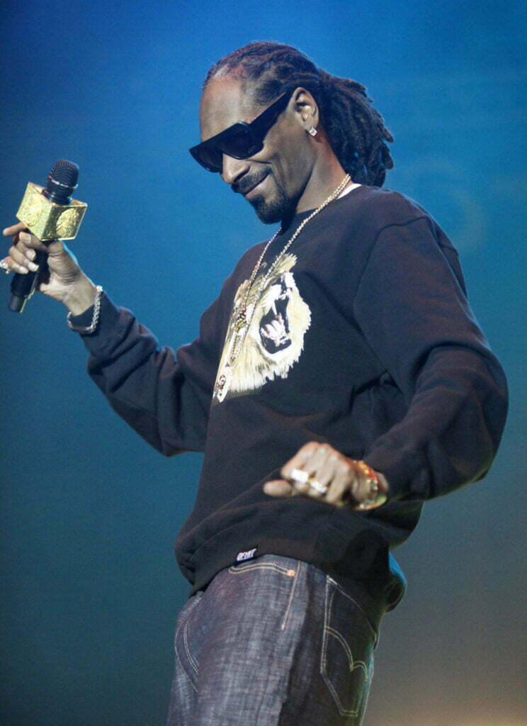 Snoop Lion - Beale Street Music Festival 2014